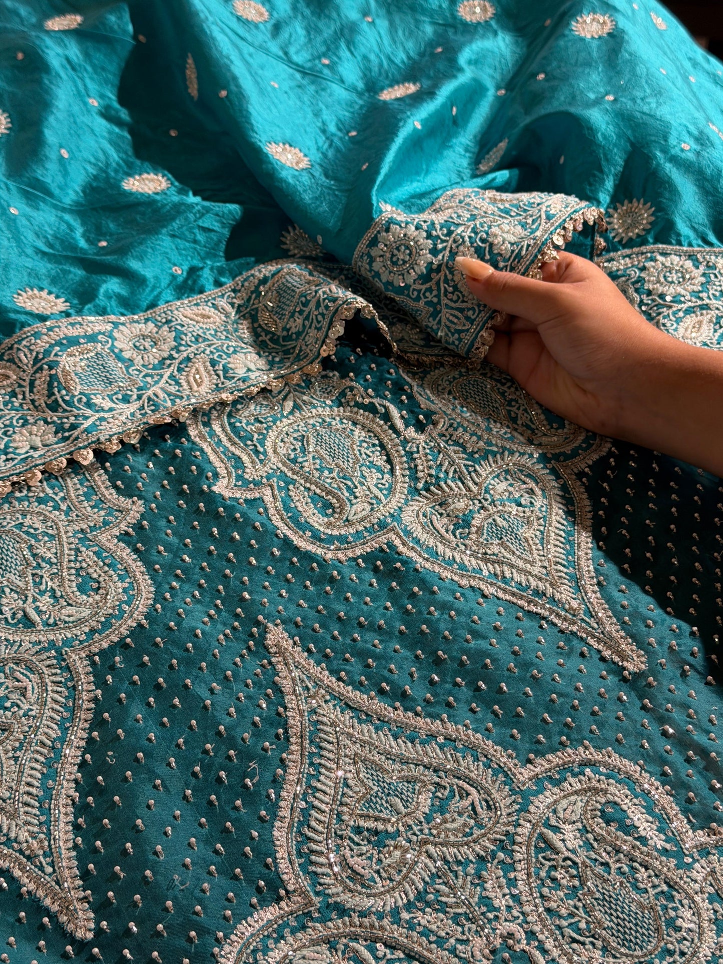 Blue Shade Noor Organza Chikankari Saree