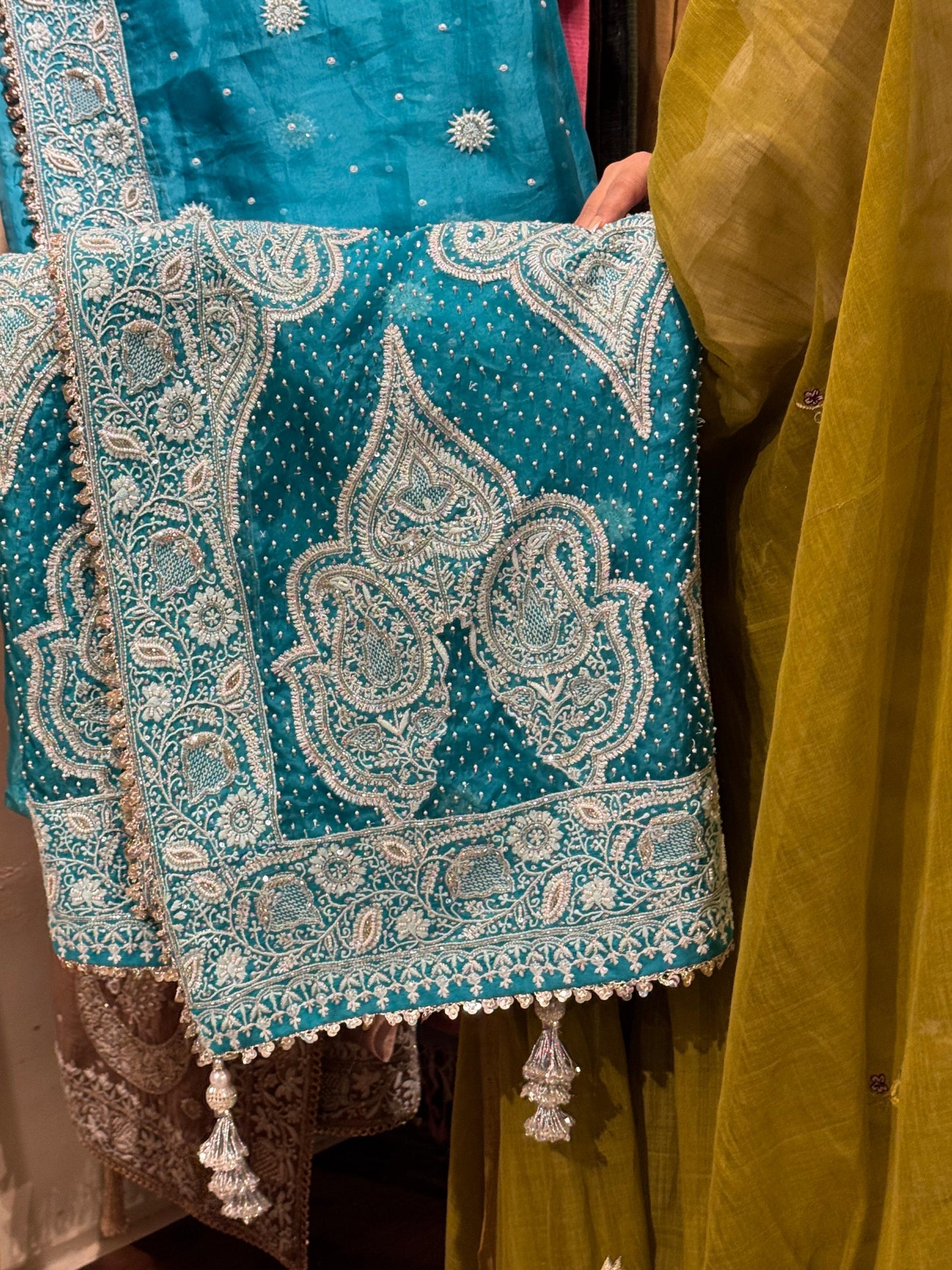 Blue Shade Noor Organza Chikankari Saree