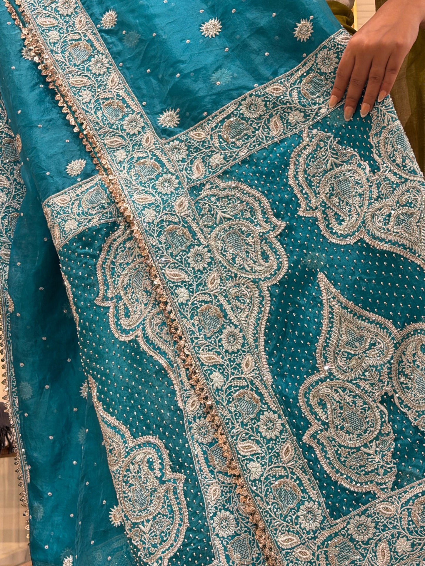 Blue Shade Noor Organza Chikankari Saree