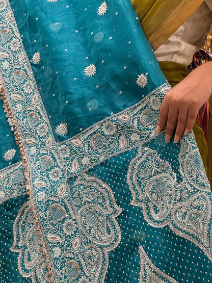 Blue Shade Noor Organza Chikankari Saree