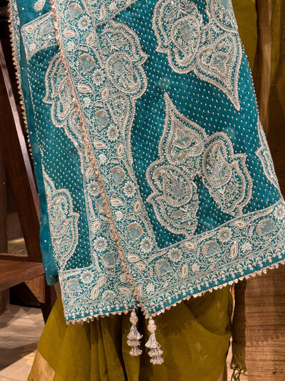 Blue Shade Noor Organza Chikankari Saree