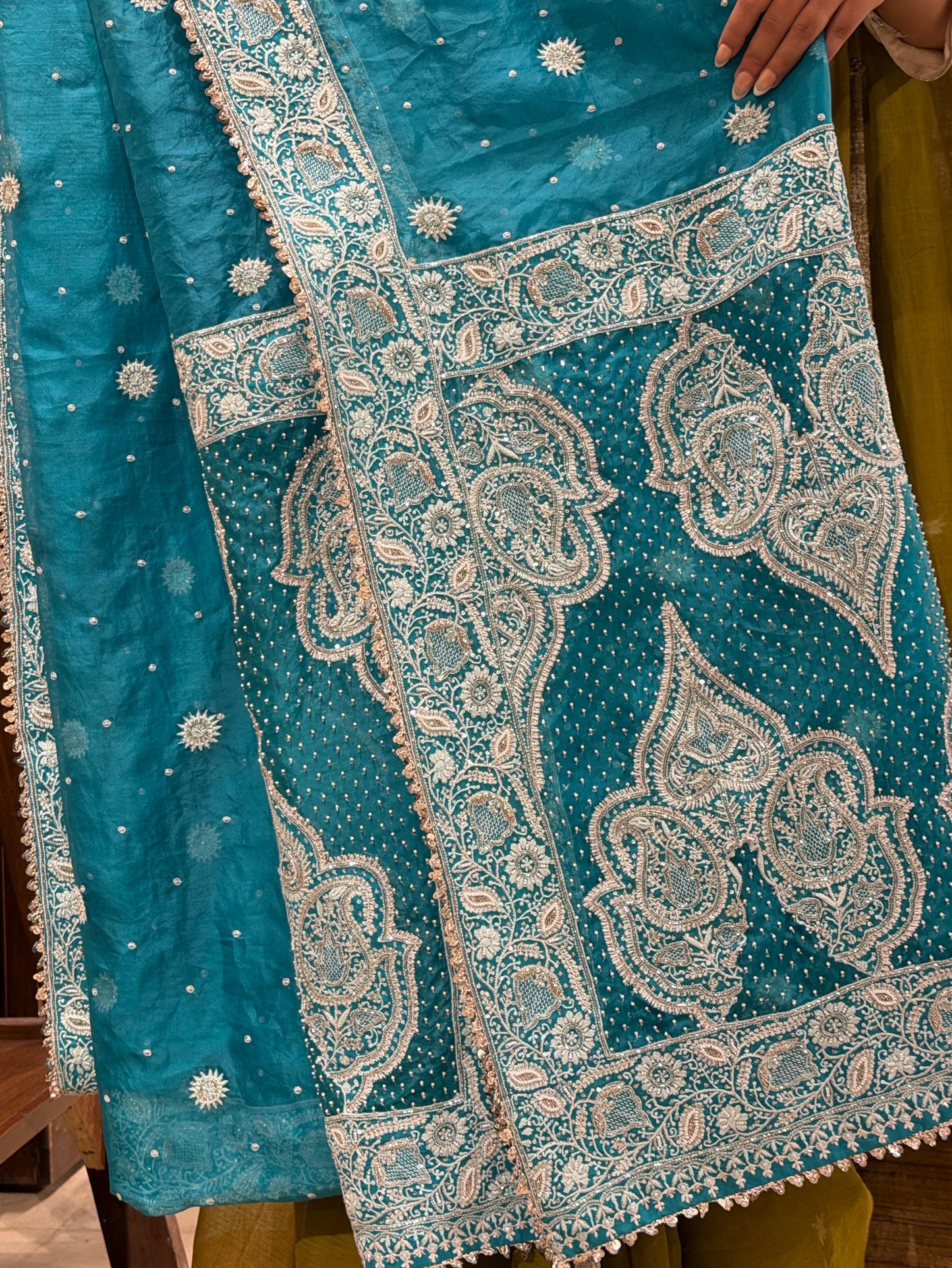 Blue Shade Noor Organza Chikankari Saree
