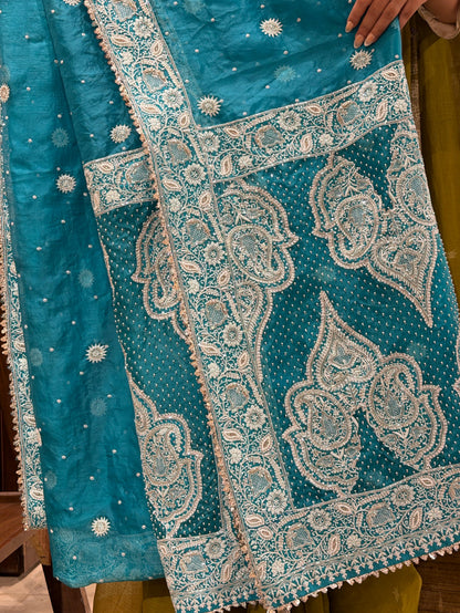 Blue Shade Noor Organza Chikankari Saree