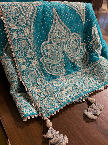 Blue Shade Noor Organza Chikankari Saree