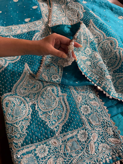 Blue Shade Noor Organza Chikankari Saree