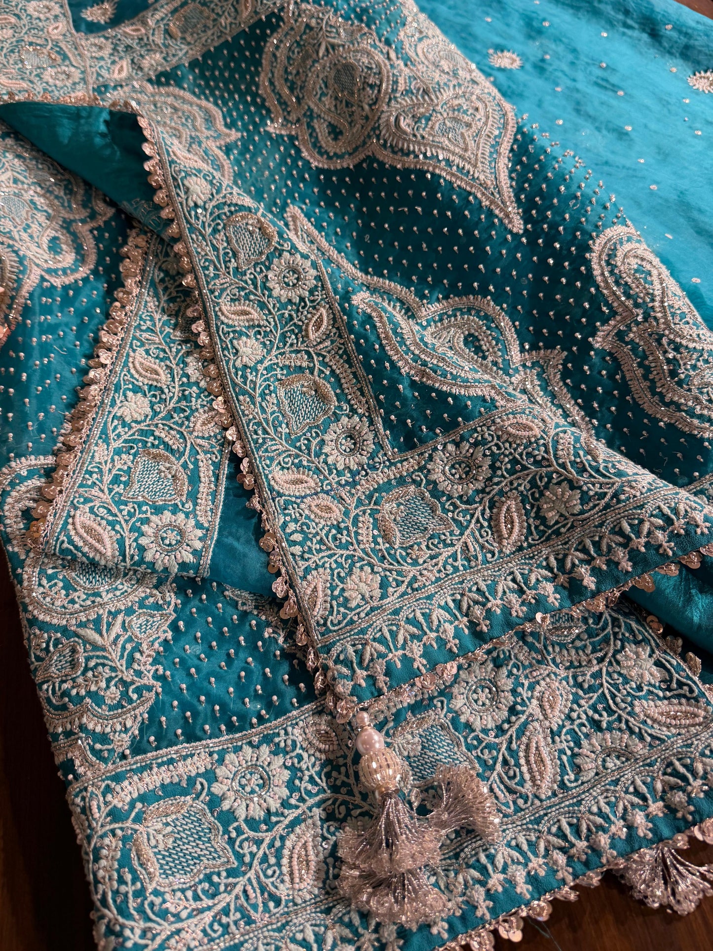 Blue Shade Noor Organza Chikankari Saree