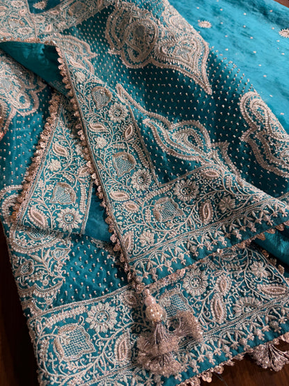 Blue Shade Noor Organza Chikankari Saree