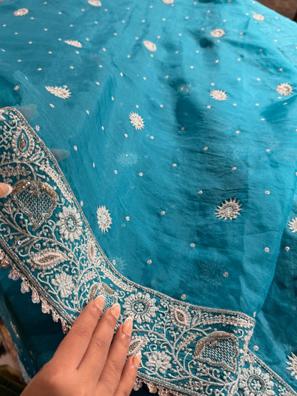 Blue Shade Noor Organza Chikankari Saree
