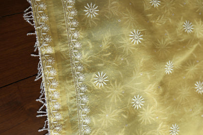 Camel Yellow Noor Organza Banarasi Silk Chikankari Unstitched Kurta Dupatta Set