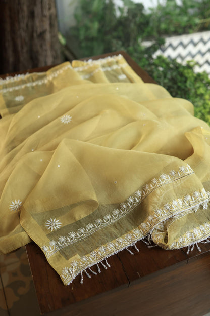 Camel Yellow Noor Organza Banarasi Silk Chikankari Unstitched Kurta Dupatta Set