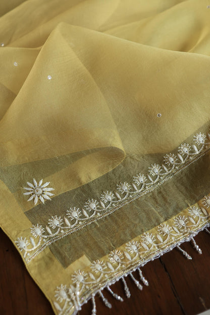 Camel Yellow Noor Organza Banarasi Silk Chikankari Unstitched Kurta Dupatta Set