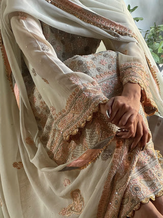 Cement Grey & Peach Chikankari Anarkali Suit with Tukdi Border & Sequin Work