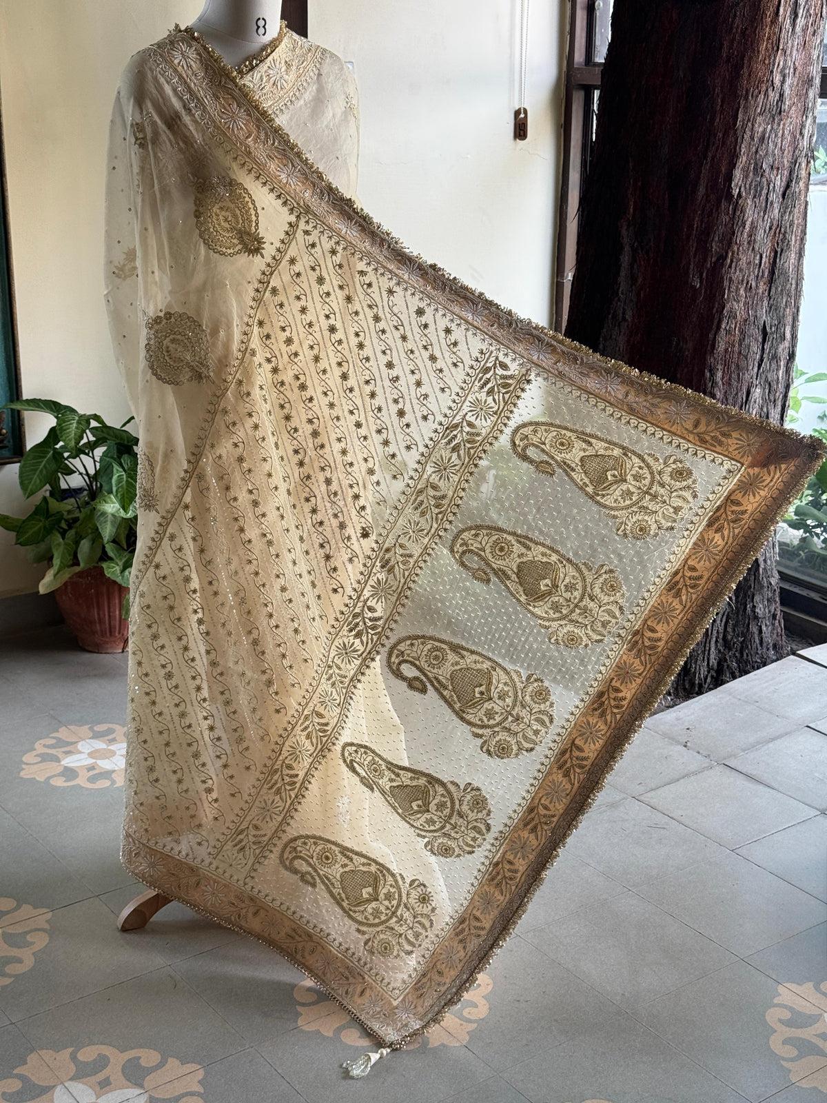 Champagne Beige Organza Saree with Intricate Chikankari and Ari Work
