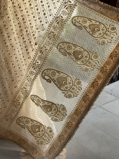 Champagne Beige Organza Saree with Intricate Chikankari and Ari Work