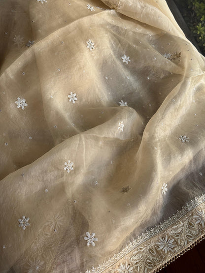 Champagne Beige Organza Saree with Intricate Chikankari and Ari Work