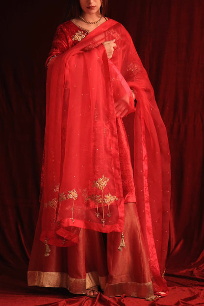 Coral Red Shade | Saman Velvet Ready To Wear Kurta Set