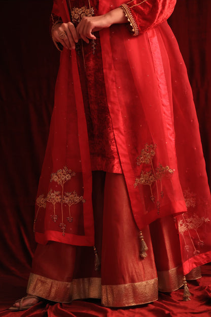 Coral Red Shade | Saman Velvet Ready To Wear Kurta Set