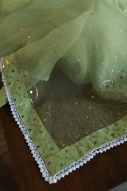 Frog Green Shade Noor Organza Silk Mukaish Pearl Chikankari Unstitched Fabric