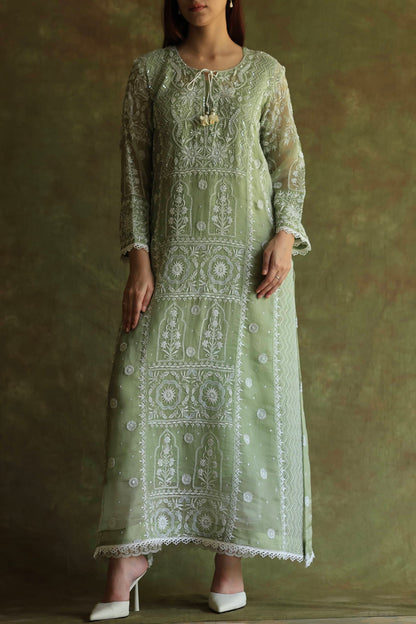 Green Noor Organza Chikankari Anarkali Kurta With Dupatta