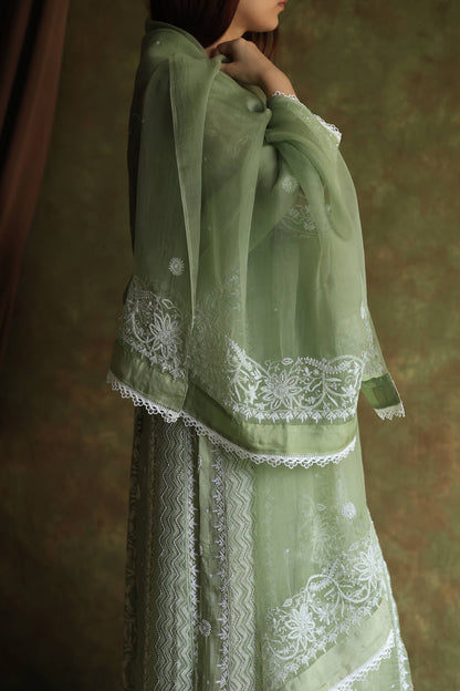 Green Noor Organza Chikankari Anarkali Kurta With Dupatta