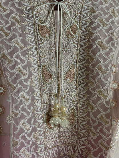 Grey & Magenta Ombre Shade Noor Organza Chikankari Anarkali