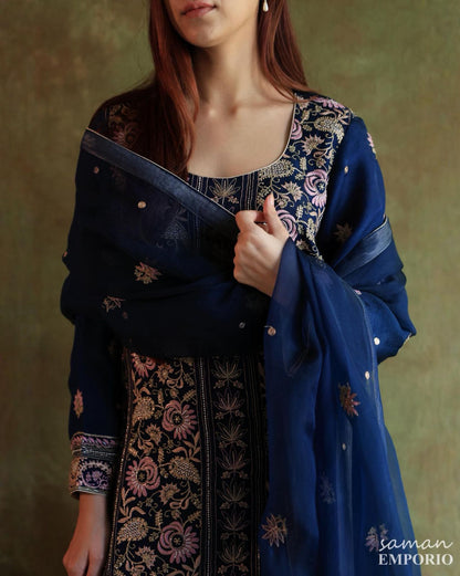 Blue Banarasi Noor Organza Chikankari Kurta With Dupatta
