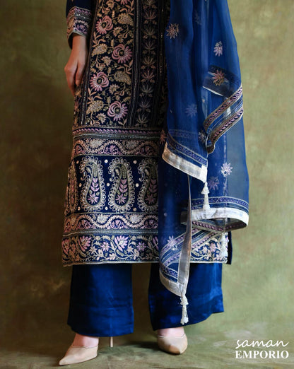 Blue Banarasi Noor Organza Chikankari Kurta With Dupatta