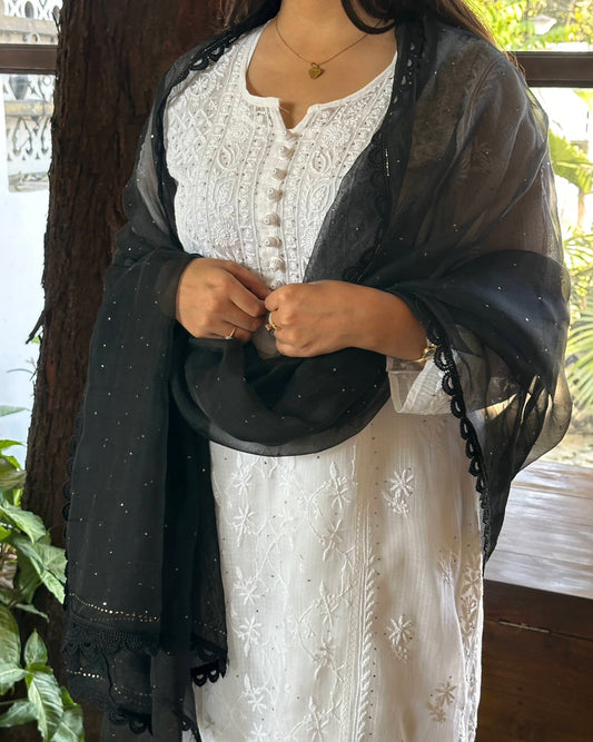 Black Kamdani Noor Organza Dupattas