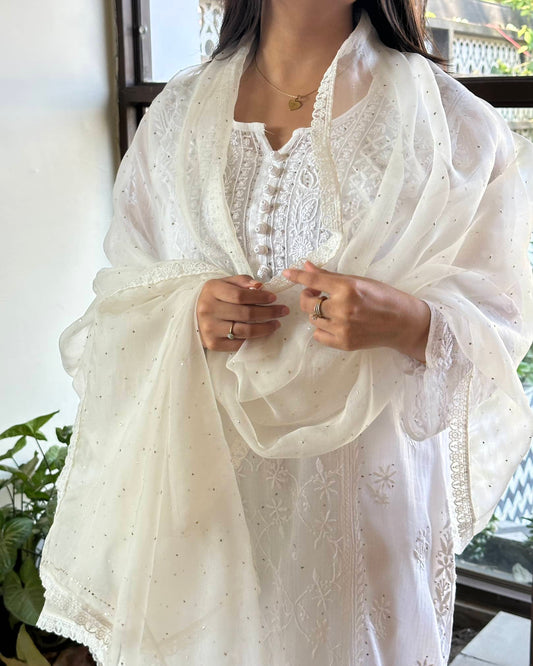 White Kamdani Noor Organza Dupattas