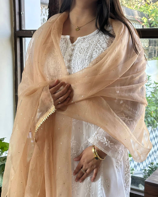 Beige Kamdani Noor Organza Dupattas