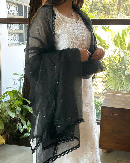 Black Kamdani Noor Organza Dupattas