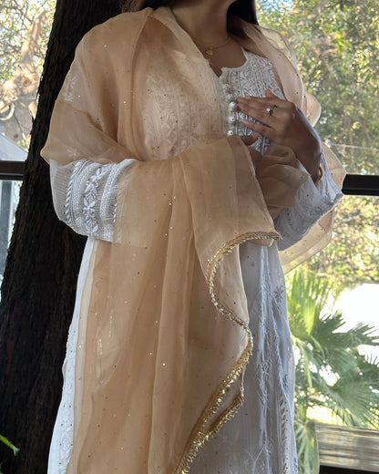 Beige Kamdani Noor Organza Dupattas