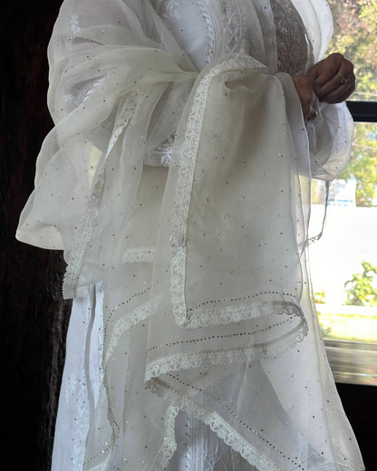 White Kamdani Noor Organza Dupattas
