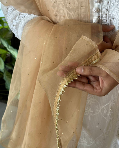 Beige Kamdani Noor Organza Dupattas