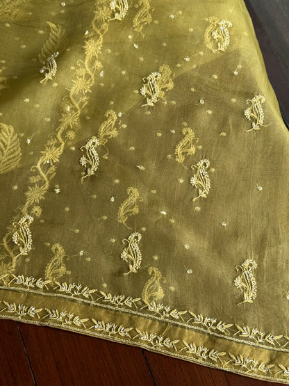 Khaki Green Shade Noor Organza Silk Chikankari Unstitched Kurta Dupatta Set