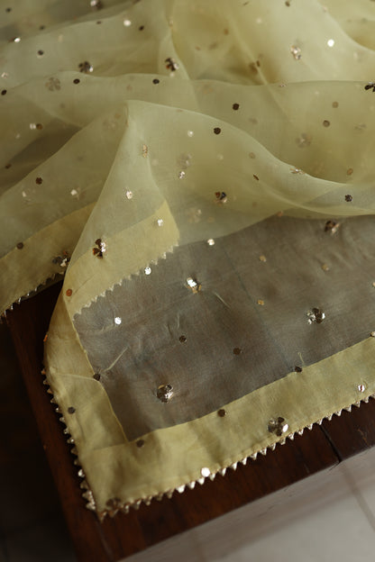 Light Yellow Shade Noor Organza Silk Badla Unstitched Kurta Dupatta Set