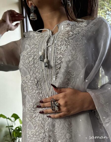 Lilac Grey Chikankari x Applique Organza Kurta Set