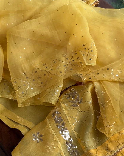 Mango Yellow Noor Organza Applique Kurta Set