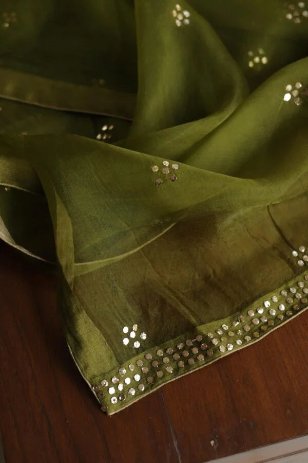 Mehndi Green Roheen Tissue Silk Chikankari Fabrics