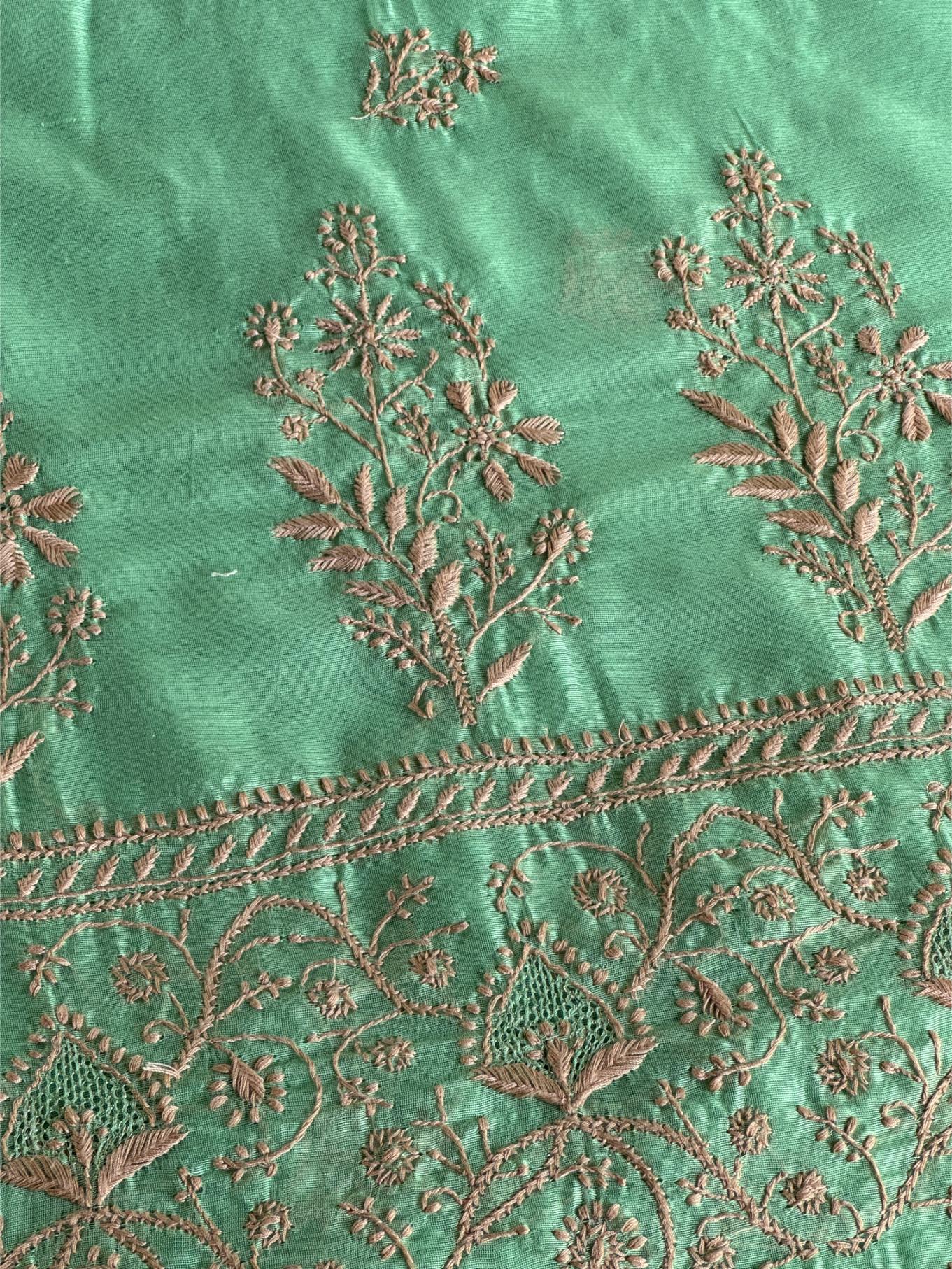 Mint Green Chanderi Saree with Chikankari Embroidery & Banarasi Zari Border