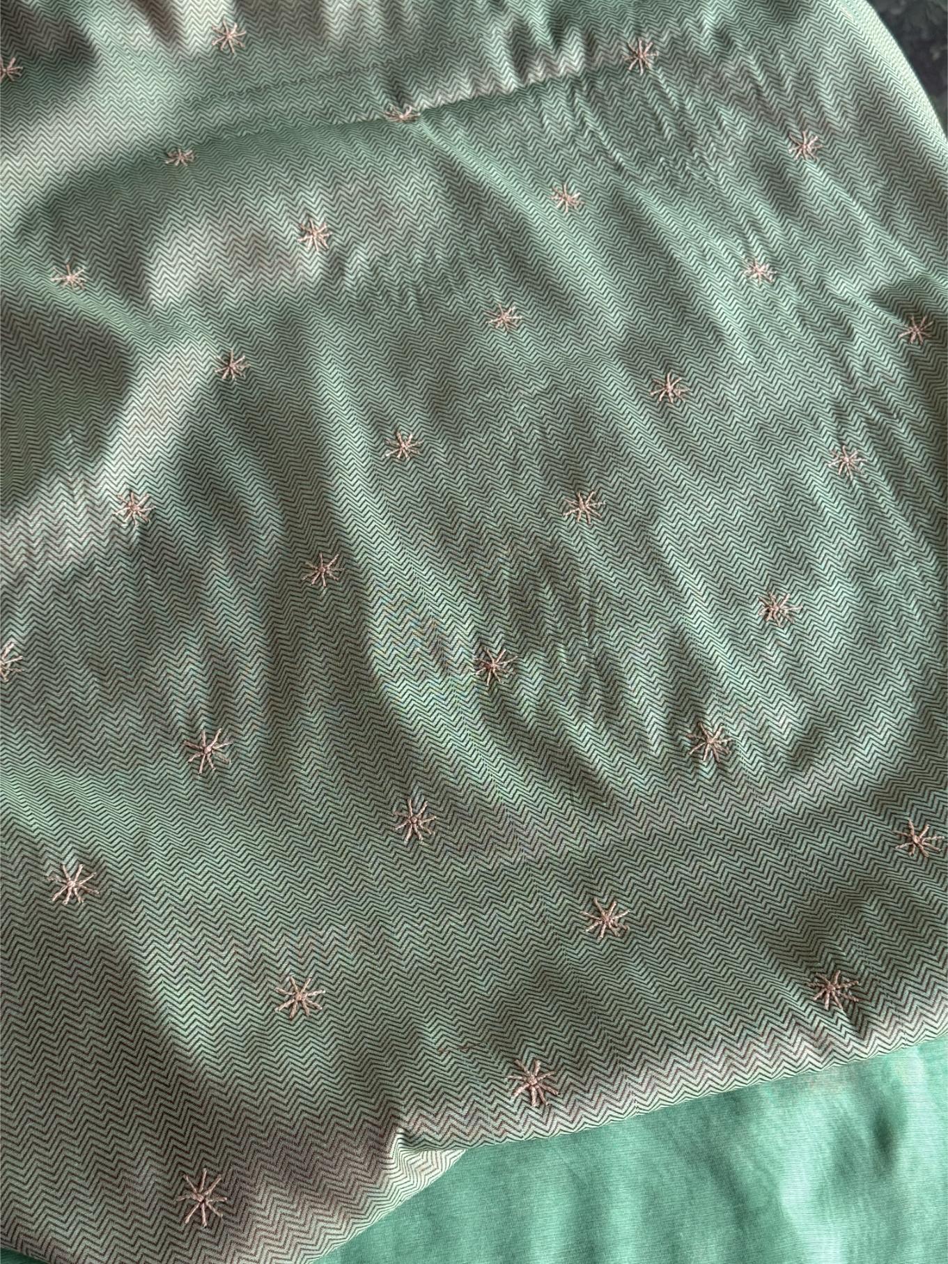 Mint Green Chanderi Saree with Chikankari Embroidery & Banarasi Zari Border