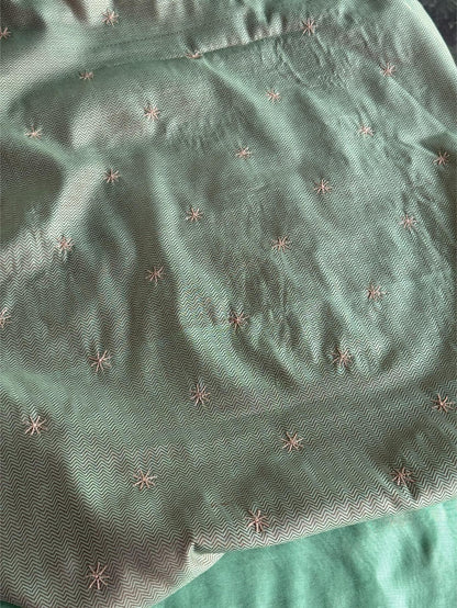 Mint Green Chanderi Saree with Chikankari Embroidery & Banarasi Zari Border