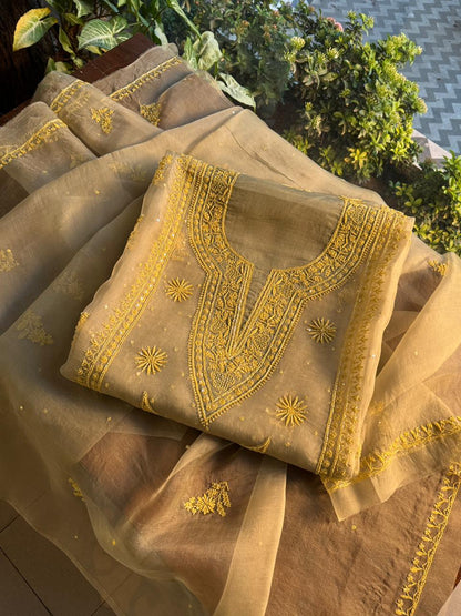 Mocha Beige Shade Noor Organza Silk Chikankari Unstitched Fabric