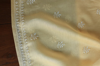 Mushroom Beige Shade Mal Cotton Fine Chikankari Unstitched Fabric