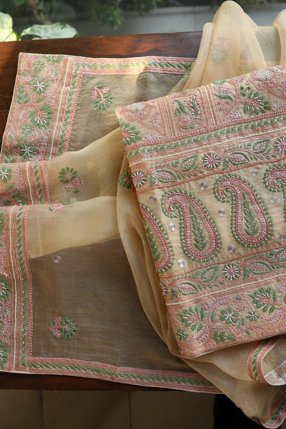 Musk Melon Shade Noor Banarasi Organza Chikankari Unstitched Fabric