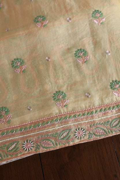 Musk Melon Shade Noor Banarasi Organza Chikankari Unstitched Fabric