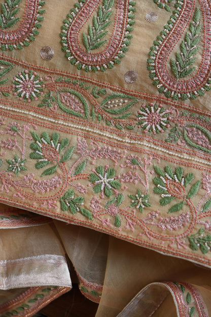Musk Melon Shade Noor Banarasi Organza Chikankari Unstitched Fabric
