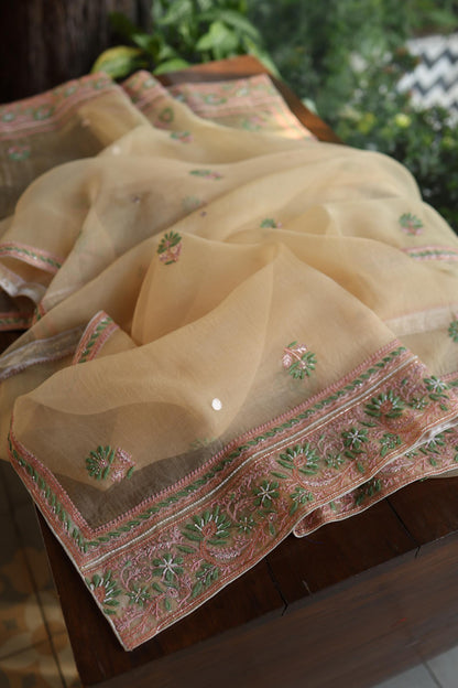 Musk Melon Shade Noor Banarasi Organza Chikankari Unstitched Fabric