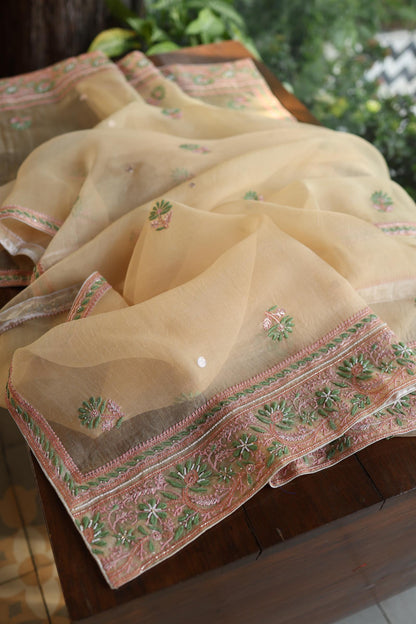 Musk Melon Shade Noor Banarasi Organza Chikankari Unstitched Fabric