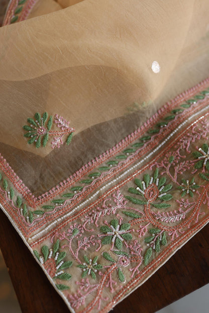 Musk Melon Shade Noor Banarasi Organza Chikankari Unstitched Fabric